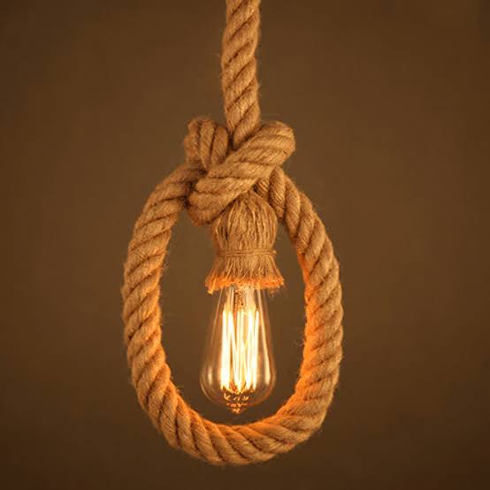 Single Hemp Rope Hanging Light for Home Decoration With Bulb